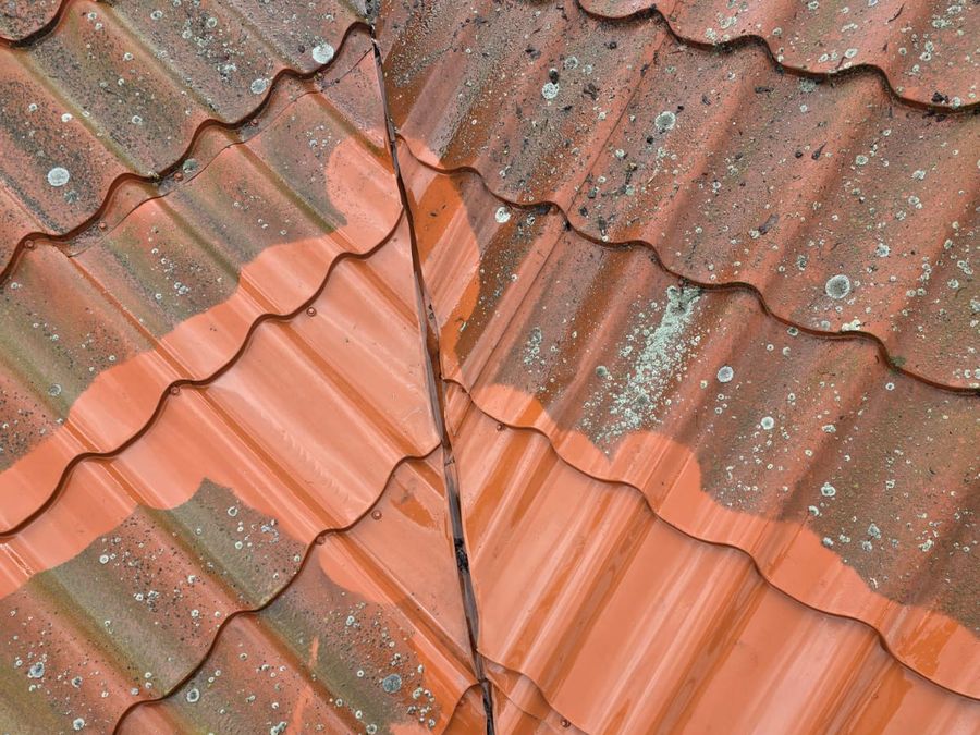 Dachówka ceramiczna pokryta mchem i nalotem przed czyszczeniem
